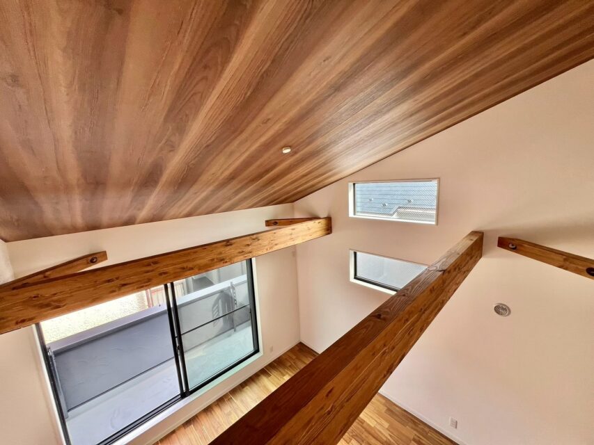 gallery6