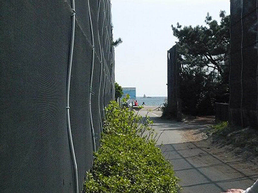 gallery34